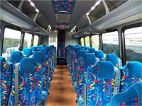 35 pass White Executive Coach Bus - x1